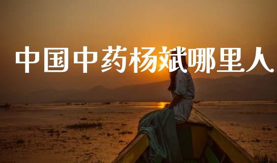 中国中药杨斌哪里人_https://m.lcpcjs.com_恒指期货保证金_第1张