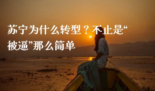 苏宁为什么转型？不止是“被逼”那么简单_https://m.lcpcjs.com_恒指期货保证金_第1张