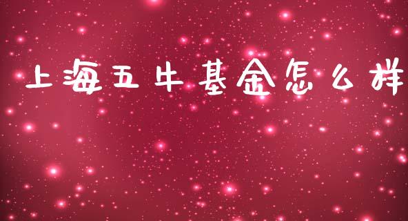 上海五牛基金怎么样_https://m.lcpcjs.com_恒指期货保证金_第1张