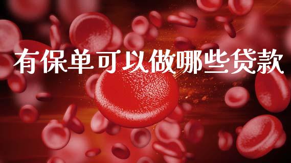 有保单可以做哪些贷款_https://m.lcpcjs.com_期货交易_第1张