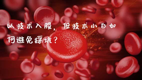 以技术入股，但技术小白如何避免踩坑？_https://m.lcpcjs.com_恒指期货保证金_第1张