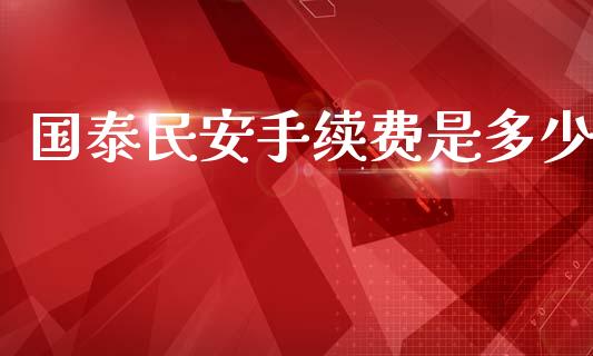 国泰民安手续费是多少_https://m.lcpcjs.com_期货交易_第1张