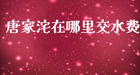 唐家沱在哪里交水费_https://m.lcpcjs.com_恒指期货保证金_第1张