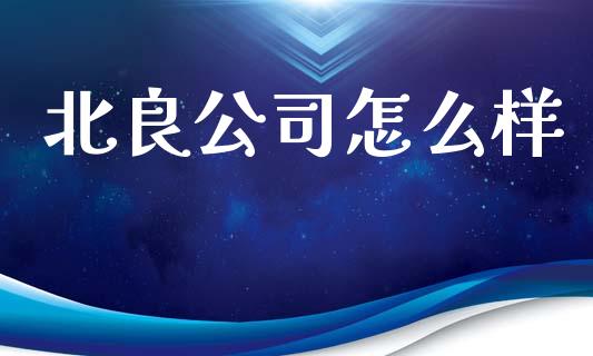 北良公司怎么样_https://m.lcpcjs.com_白银期货保证金_第1张