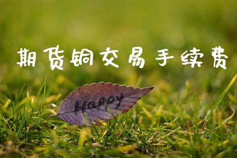 期货铜交易手续费_https://m.lcpcjs.com_恒指期货保证金_第1张