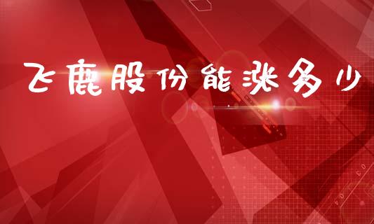 飞鹿股份能涨多少_https://m.lcpcjs.com_期货交易时间_第1张