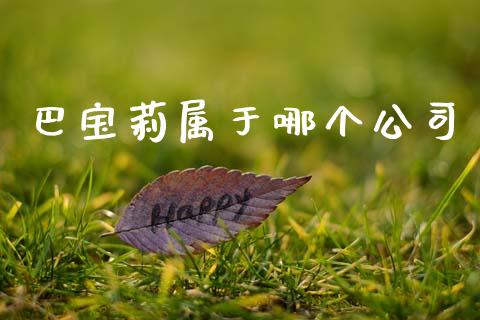 巴宝莉属于哪个公司_https://m.lcpcjs.com_期货交易_第1张
