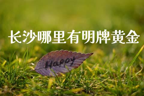 长沙哪里有明牌黄金_https://m.lcpcjs.com_期货交易_第1张