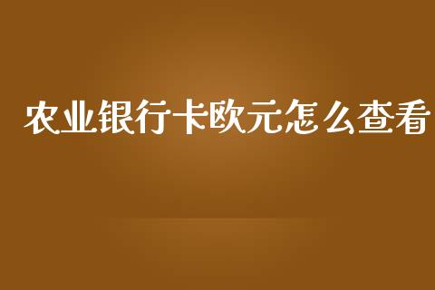 农业银行卡欧元怎么查看_https://m.lcpcjs.com_期货交易时间_第1张