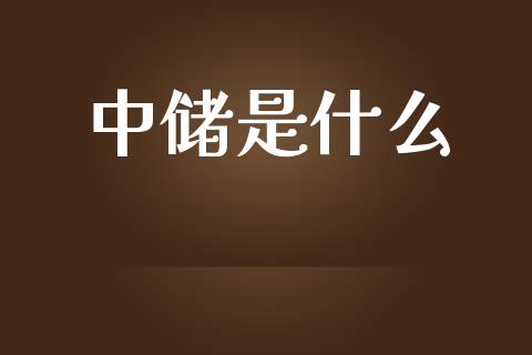中储是什么_https://m.lcpcjs.com_白银期货保证金_第1张
