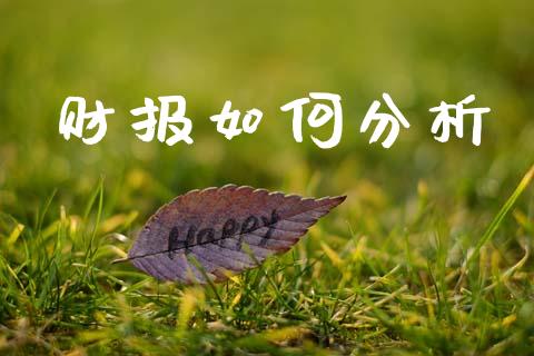 财报如何分析_https://m.lcpcjs.com_恒指期货保证金_第1张