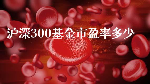 沪深300基金市盈率多少_https://m.lcpcjs.com_恒指期货保证金_第1张