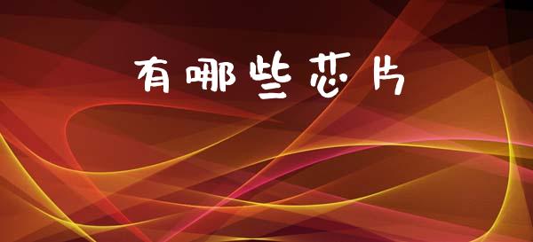 有哪些芯片_https://m.lcpcjs.com_白银期货保证金_第1张
