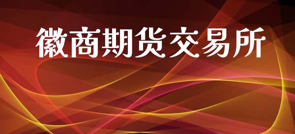 徽商期货交易所_https://m.lcpcjs.com_期货交易_第1张