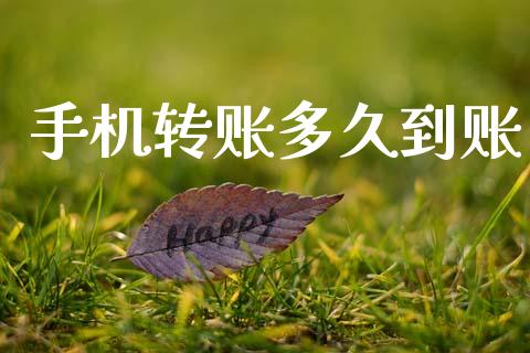 手机转账多久到账_https://m.lcpcjs.com_期货交易时间_第1张