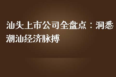 汕头上市公司全盘点：洞悉潮汕经济脉搏_https://m.lcpcjs.com_白银期货保证金_第1张