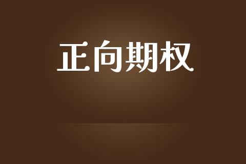正向期权_https://m.lcpcjs.com_白银期货保证金_第1张