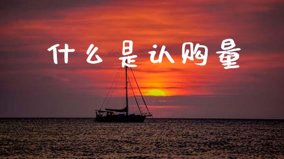 什么是认购量_https://m.lcpcjs.com_期货交易_第1张