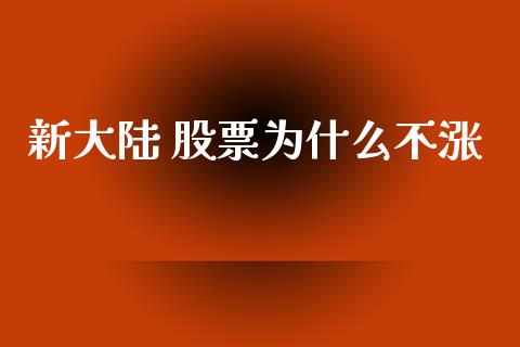 新大陆 股票为什么不涨_https://m.lcpcjs.com_白银期货保证金_第1张