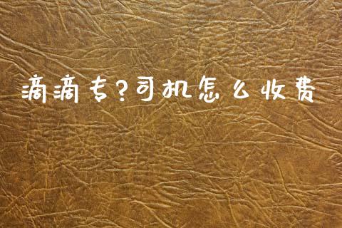 滴滴专?司机怎么收费_https://m.lcpcjs.com_期货交易时间_第1张