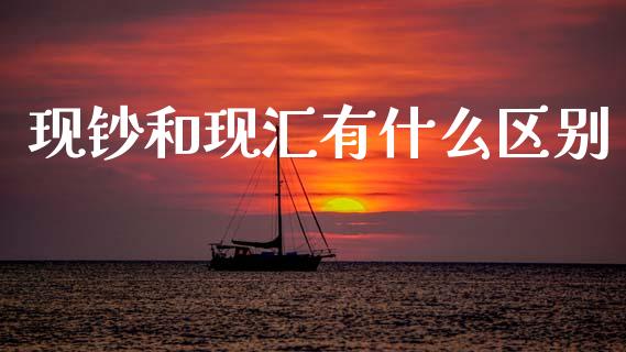 现钞和现汇有什么区别_https://m.lcpcjs.com_恒指期货保证金_第1张