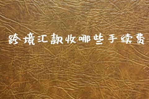 跨境汇款收哪些手续费_https://m.lcpcjs.com_白银期货保证金_第1张
