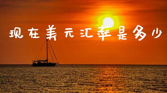 现在美元汇率是多少_https://m.lcpcjs.com_期货交易时间_第1张