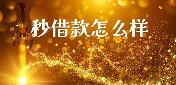 秒借款怎么样_https://m.lcpcjs.com_白银期货保证金_第1张
