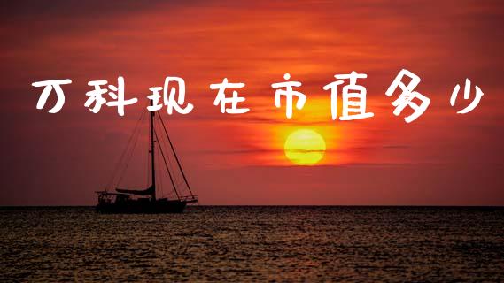 万科现在市值多少_https://m.lcpcjs.com_期货交易_第1张