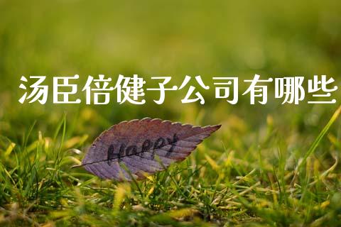 汤臣倍健子公司有哪些_https://m.lcpcjs.com_期货交易_第1张